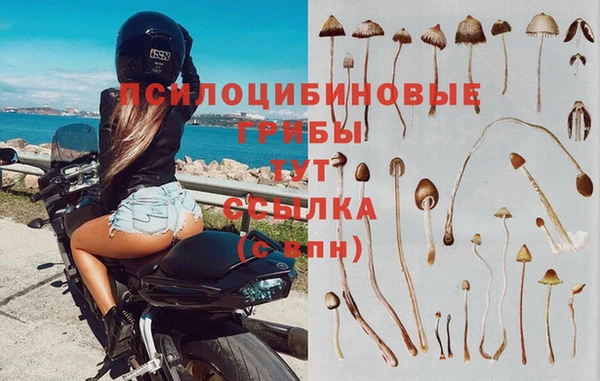 бошки Белоозёрский