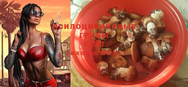 apvp Беломорск