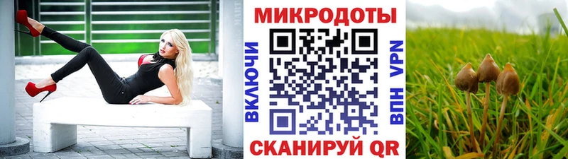 Галлюциногенные грибы MAGIC MUSHROOMS  где найти наркотики  Реж 